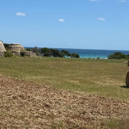 Le Scale Di Pietra