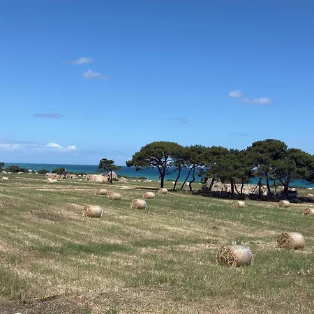 Oda ve Kahvaltı Le Scale Di Pietra Conversano
